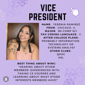 Vice President Profile